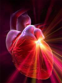 Picture Courtesy of Heart Math Institute